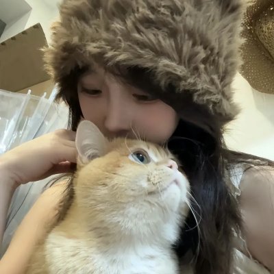 小鼠和大象的创意