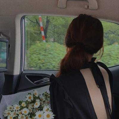 新蝶恋花